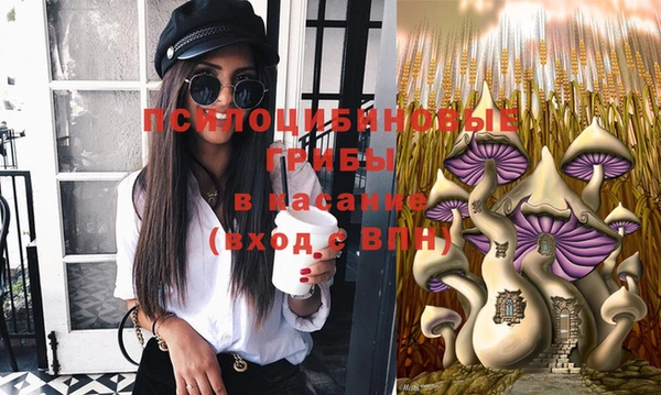 кокс Баксан