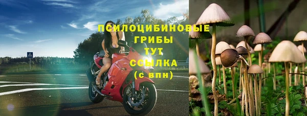 кокс Баксан