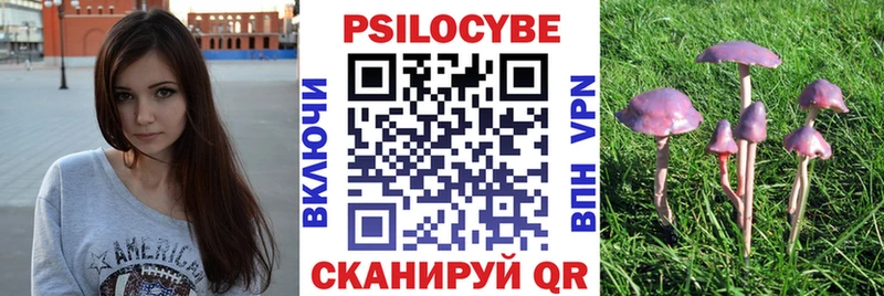 Купить закладки  Волоколамск  Галлюциногенные грибы Psilocybe 